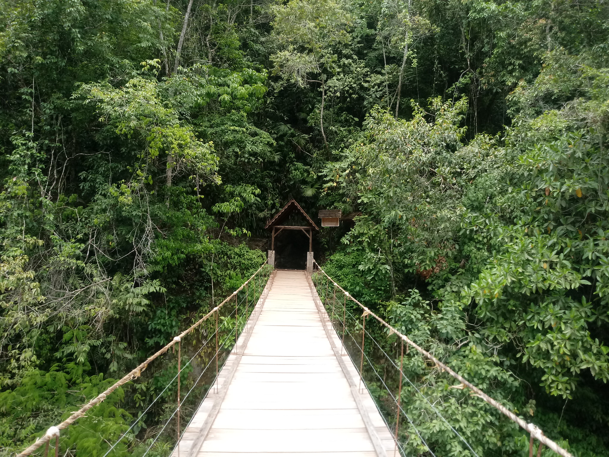 pozuzo puente