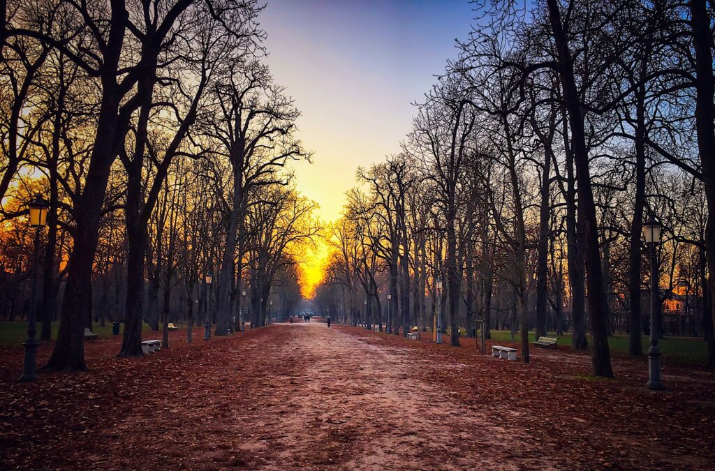 parma parque