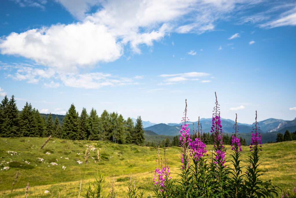 tirol natural