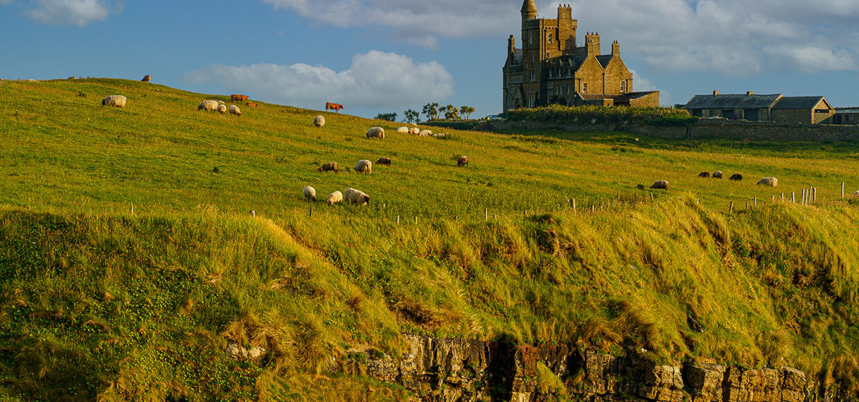 sligo campus