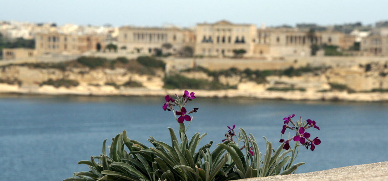 malta portada