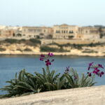 malta portada