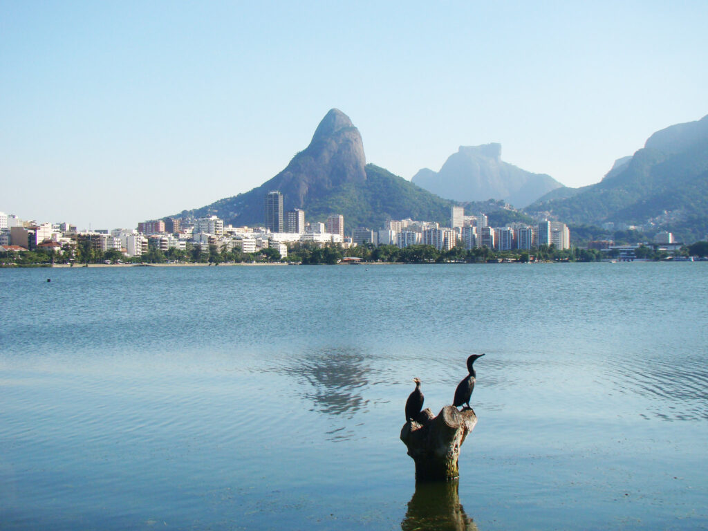 rio city