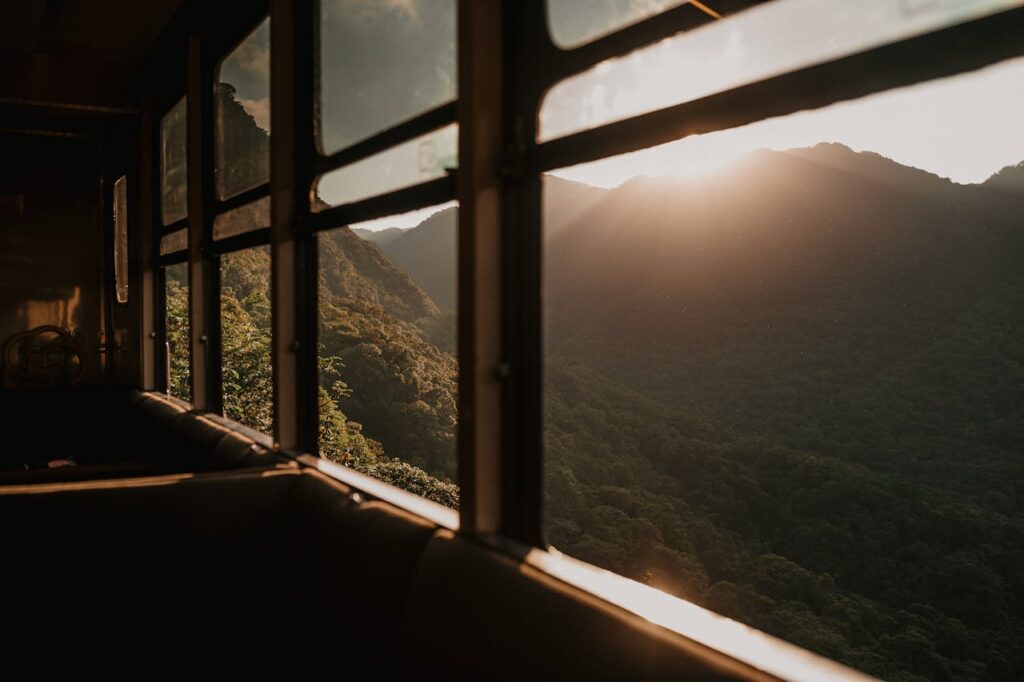 pexels jonathanborba