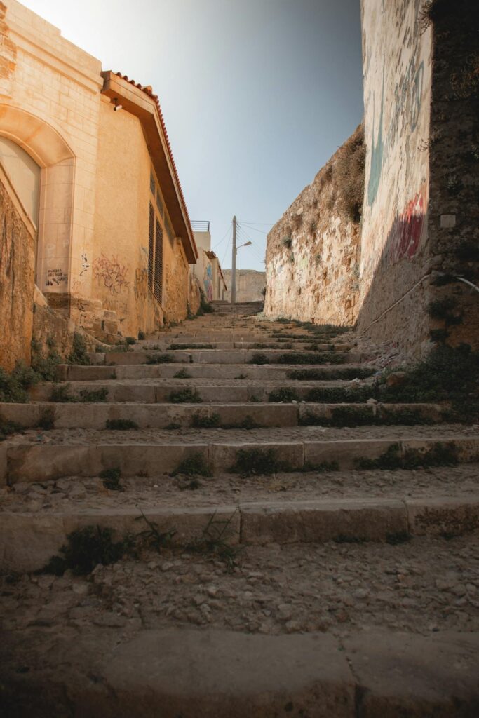 creta wendywei ()